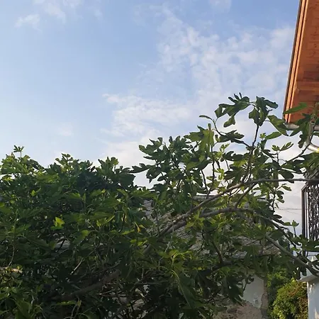 Szilva Es Dio Preshaz Ferienhaus *