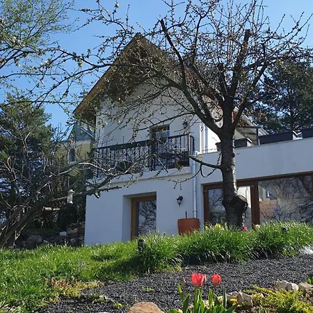 Szilva Es Dio Preshaz Raposka