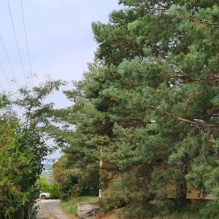 Szilva Es Dio Preshaz Tatil Evi *