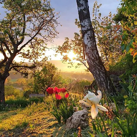 Szilva Es Dio Preshaz Prázdninový dům