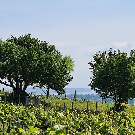 Prázdninový dům Szilva Es Dio Preshaz Raposka