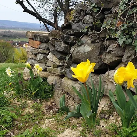 Prázdninový dům Szilva Es Dio Preshaz Raposka