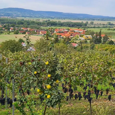 Szilva Es Dio Preshaz