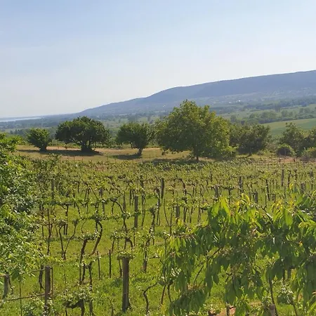 Szilva Es Dio Preshaz Prázdninový dům