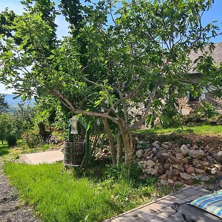 Prázdninový dům Szilva Es Dio Preshaz