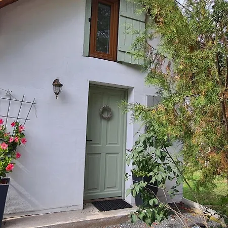 Szilva Es Dio Preshaz *