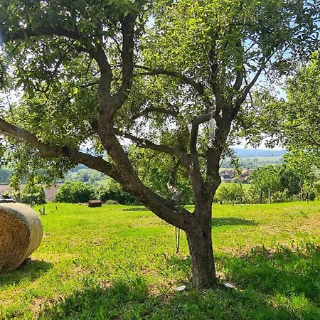 Szilva Es Dio Preshaz Raposka