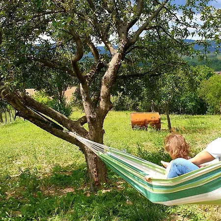 Szilva Es Dio Preshaz * Raposka