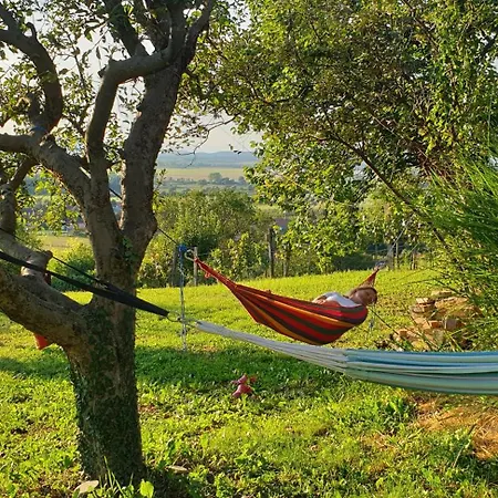 Szilva Es Dio Preshaz * Raposka