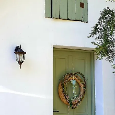 Tatil Evi Szilva Es Dio Preshaz