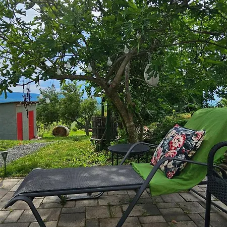 Szilva Es Dio Preshaz Ferienhaus Raposka