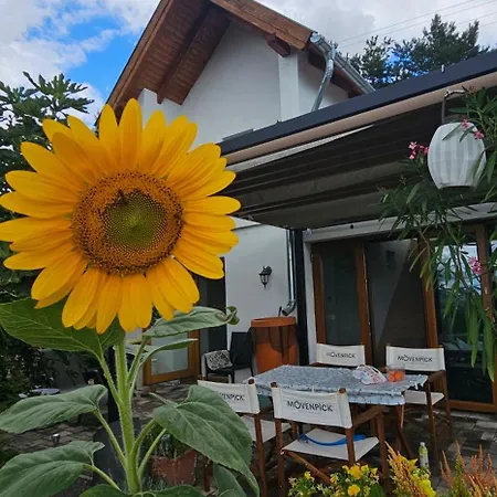 Szilva és Dió Présház *