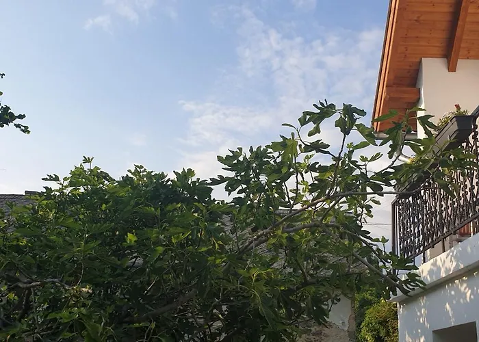 Szilva Es Dio Preshaz 度假居 *