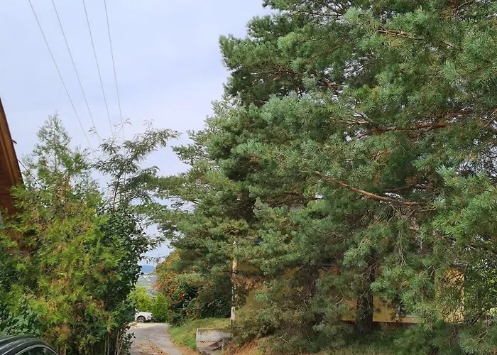 Szilva Es Dio Preshaz 度假居 *