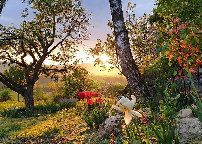 Szilva Es Dio Preshaz 度假居