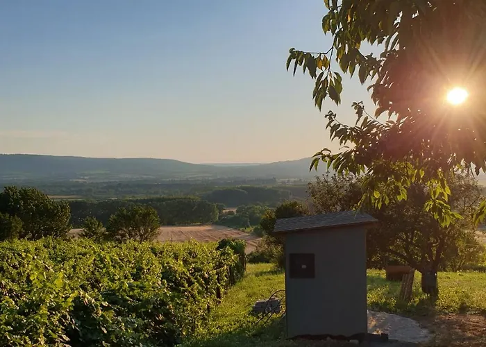 Szilva Es Dio Preshaz * Raposka