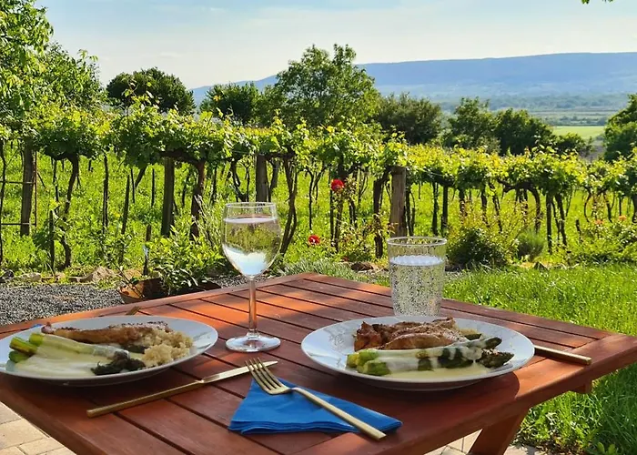 Szilva Es Dio Preshaz 度假居 Raposka