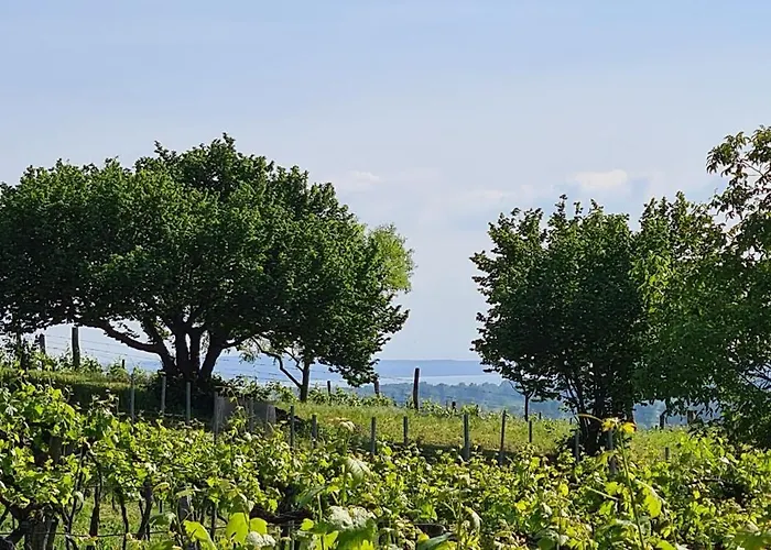 度假居 Szilva Es Dio Preshaz Raposka