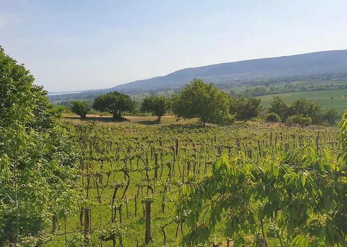 Szilva Es Dio Preshaz 度假居