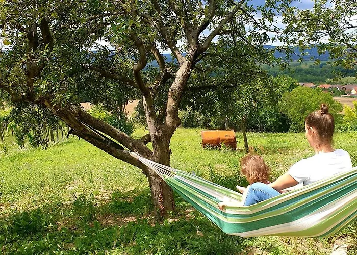 Szilva Es Dio Preshaz * Raposka