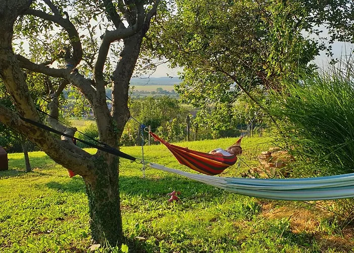 Szilva Es Dio Preshaz * Raposka